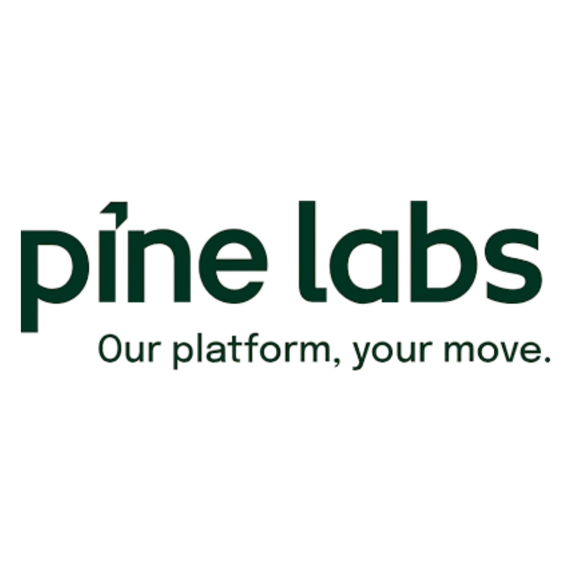 Pin Labs